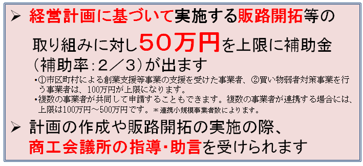 化 コロナ 日本 金 所 持続 会議 商工 補助